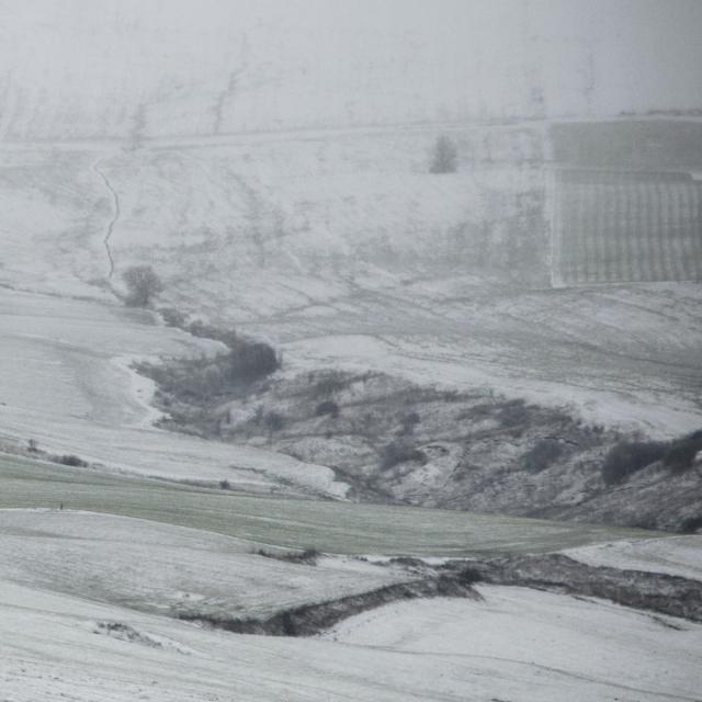A snowfall (14)